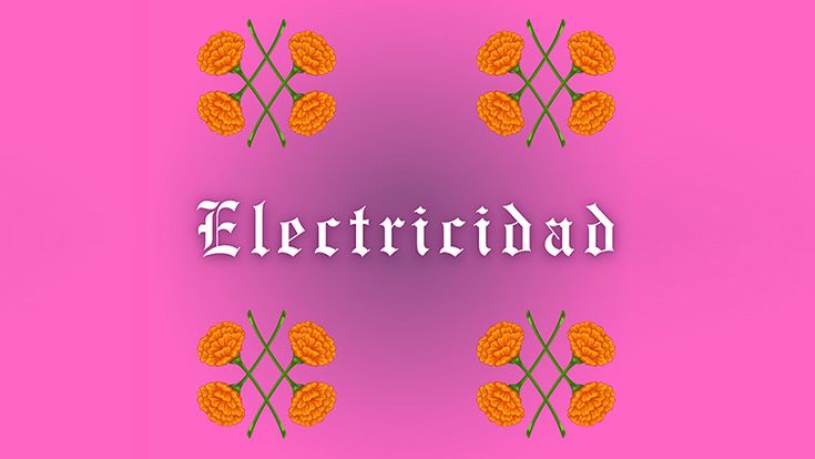 Electricidad logo - title on pink background with four flowers